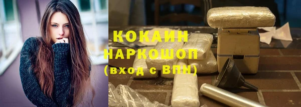 бошки Новодвинск