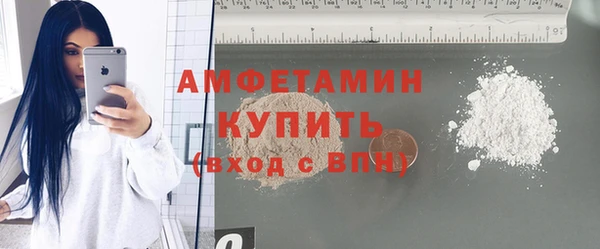 прущие грибы Няндома