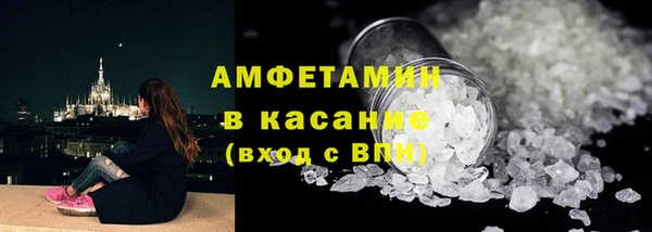 прущие грибы Няндома