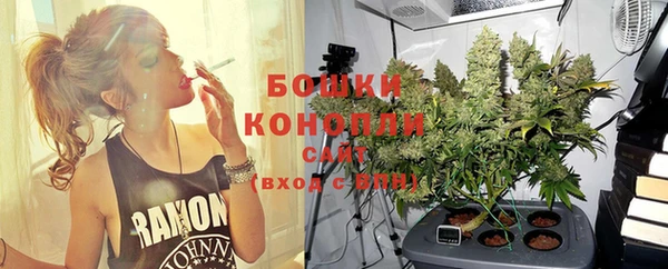 прущие грибы Няндома