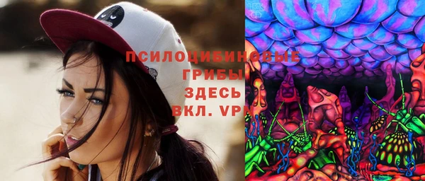 прущие грибы Няндома