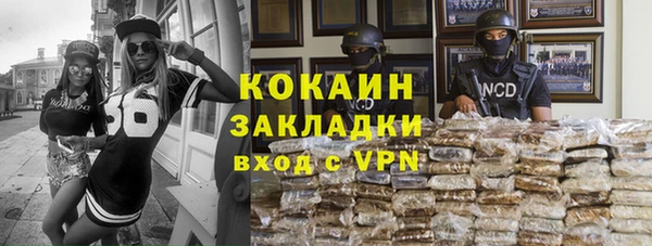 прущие грибы Няндома