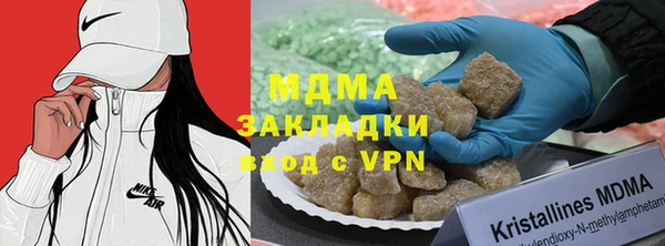 прущие грибы Няндома