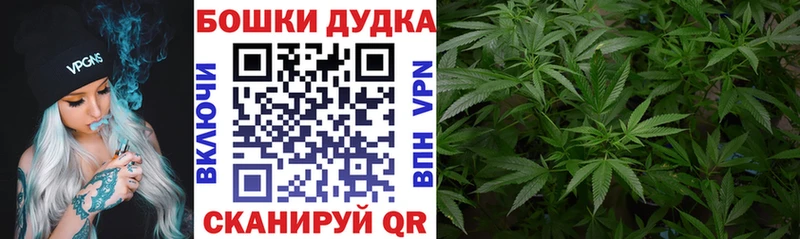 как найти закладки  Ялуторовск  мориарти формула  Бошки марихуана сатива 